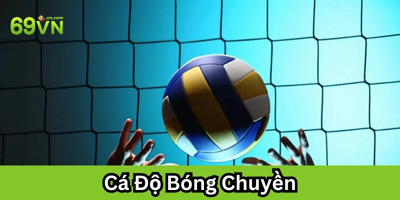 Cá Độ Bóng Chuyền là gì?