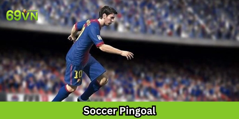 Soccer Pingoal là gì?