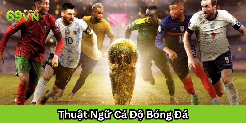 Thuật Ngữ Cá Độ Bóng Đá là gì?